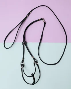 DOG & CO. Nylon Step-In Adjustable Dog Harness In Black (Made In The USA) -Pet Sale Shop Dog Co 4595