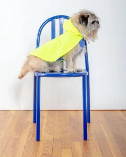 DOG & CO. COLLECTION Action Jacket Pull-On Raincoat In Safety Yellow + Blue (Made In NYC) -Pet Sale Shop Dog Co ActionJacketPull OnRaincoat 1C5A5261