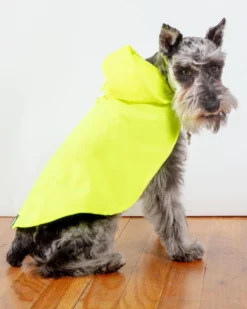 DOG & CO. COLLECTION Action Jacket Pull-On Raincoat In Safety Yellow + Blue (Made In NYC) -Pet Sale Shop Dog Co ActionJacketPull OnRaincoat 1C5A5524a