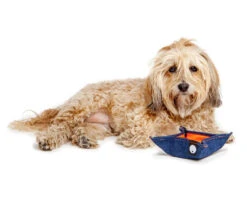 DOG & CO. COLLECTION Bandana Bowl For Dogs 20 DOG & CO. COLLECTION Bandana Bowl For Dogs -Pet Sale Shop Dog Co Bandana Bowl 6