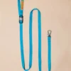 CHARLIE'S BACKYARD Adjustable Easy Dog Leash In Teal