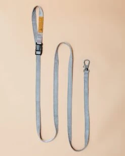 CHARLIE'S BACKYARD Adjustable Easy Dog Leash In Gray