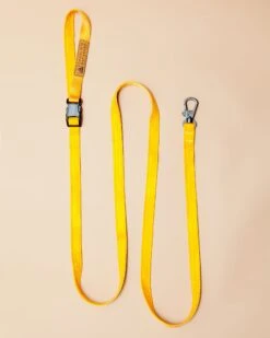 CHARLIE'S BACKYARD Adjustable Easy Dog Leash In Yellow