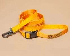 CHARLIE'S BACKYARD Adjustable Easy Dog Leash In Yellow -Pet Sale Shop Dog Co CHARLIE SBACKYARD 9248