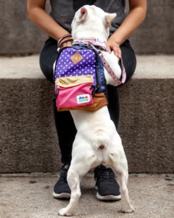 CHARLIE'S BACKYARD Charlie's Bag Backpack In Violet -Pet Sale Shop Dog Co Charlie sBagBackpackCHARLIE SBACKYARD 5153