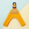 CHARLIE'S BACKYARD Buckle Up Easy Dog Harness In Yellow