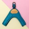 CHARLIE'S BACKYARD Buckle Up Easy Dog Harness In Teal