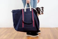 DOG & CO. COLLECTION City Carrier Dog Bag In Size 3 -Pet Sale Shop Dog Co CityCarrier 1C5A5792