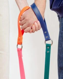DOG & CO. COLLECTION City Leash In Hunter Green & Navy (4 Or 6 Foot) (Made In The USA) -Pet Sale Shop Dog Co CityLeash 1C5A5329a 7ffd0979 ca73 4945 bbdd ba114885ef70