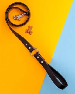 DOG & CO. COLLECTION City Leash In Basic Black (Made In The USA) -Pet Sale Shop Dog Co Cityleash 5685