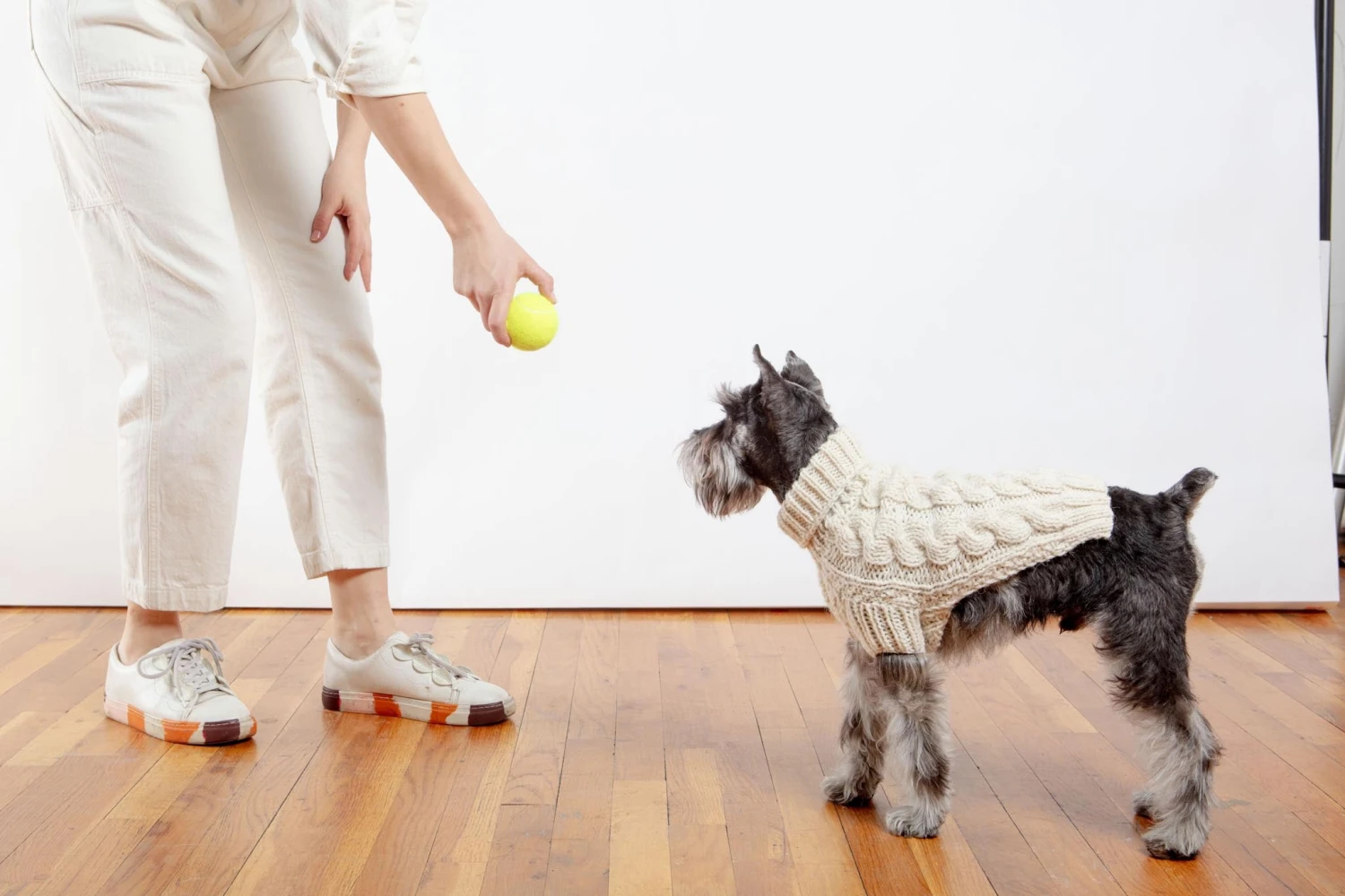 DOG & CO. COLLECTION Downtown Roll Neck Dog Sweater In Natural 10 DOG & CO. COLLECTION Downtown Roll Neck Dog Sweater In Natural - Image 10