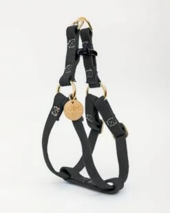 FOUND MY ANIMAL Cotton Webbing Dog Harness In Black (Made In The USA) (FINAL SALE)