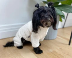 DENTISTS APPOINTMENT Boa Fleece Onesie In Cream (Dog & Co. Exclusive) 13 DENTISTS APPOINTMENT Boa Fleece Onesie In Cream (Dog & Co. Exclusive) -Pet Sale Shop Dog Co IMG 5355