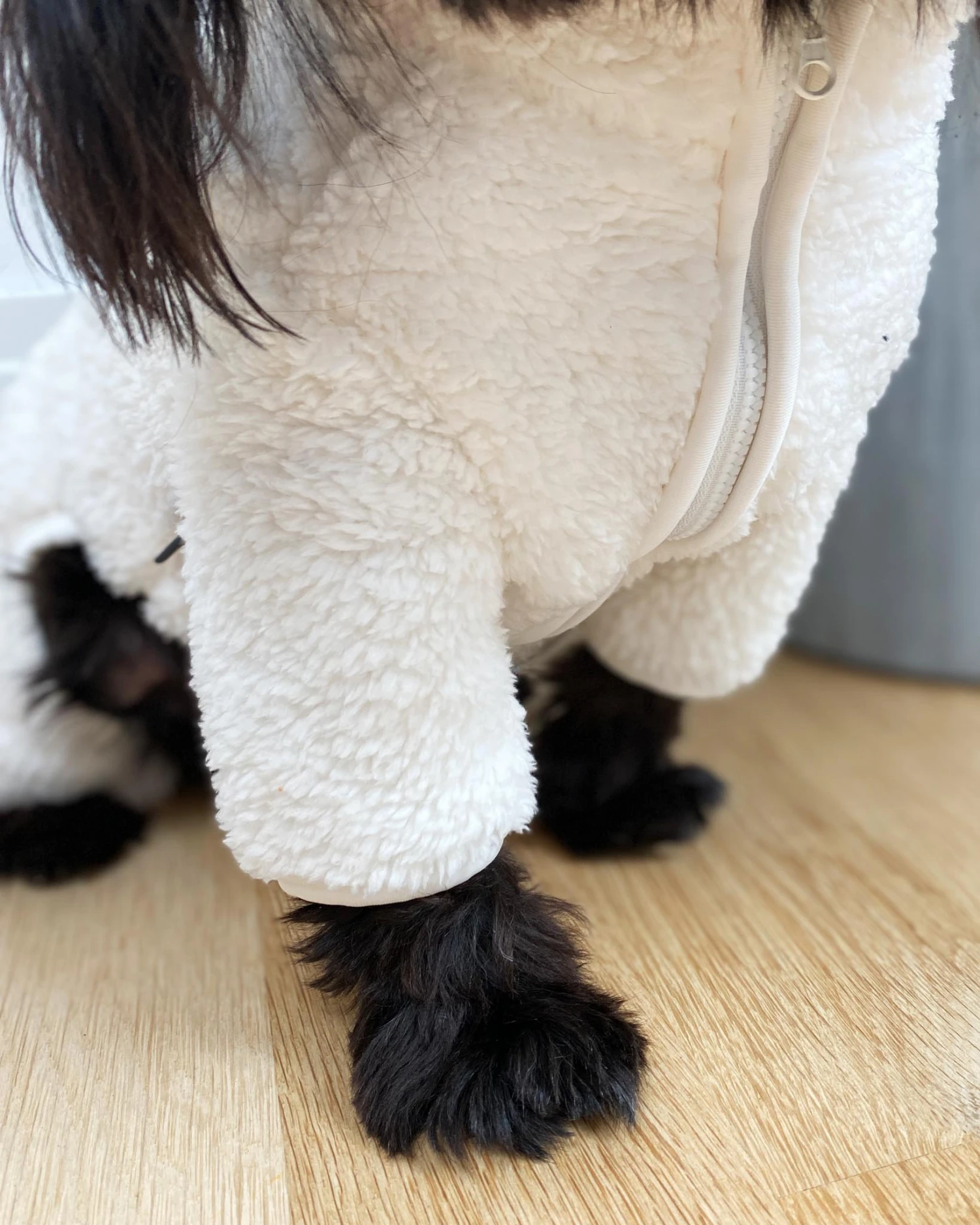 DENTISTS APPOINTMENT Boa Fleece Onesie In Cream (Dog & Co. Exclusive) 3 DENTISTS APPOINTMENT Boa Fleece Onesie In Cream (Dog & Co. Exclusive) - Image 3