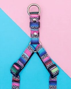 DOG & CO. COLLECTION Step-In Dog Harness In Rainbow Serape & Leopard (Made In NYC) 13 DOG & CO. COLLECTION Step-In Dog Harness In Rainbow Serape & Leopard (Made In NYC) -Pet Sale Shop Dog Co Step InDogHarnessinSerapeRainbowLeopard 1C5A1549
