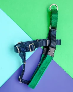 2 HOUNDS For DOG & CO. (Exclusive) Freedom No-Pull Harness In Navy & Kelly Green (Made In The USA)