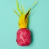 GOLI CAT TOYS Piña Catlada Catnip Toy