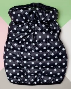 AIRYVEST For DOG & CO. Reversible AiryVest In Black + Black Dot (DOG & CO. Exclusive) 10 AIRYVEST For DOG & CO. Reversible AiryVest In Black + Black Dot (DOG & CO. Exclusive) -Pet Sale Shop Dog Co MG 3221