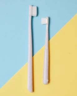 WAG & BRIGHT SUPPLY CO. Puppy Polisher Biodegradable Dog Toothbrush -Pet Sale Shop Dog Co MG 9387