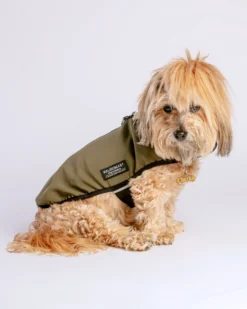 WILDEBEEST All Weather Jacket In Olive Green (Made In The USA) -Pet Sale Shop Dog Co wildebeest 4334