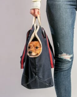 DOG & CO. COLLECTION City Carrier Dog Bag In Size 2 -Pet Sale Shop Dog co 4128 a539651c c9c2 49bd a31b 678a7c0f8fbf