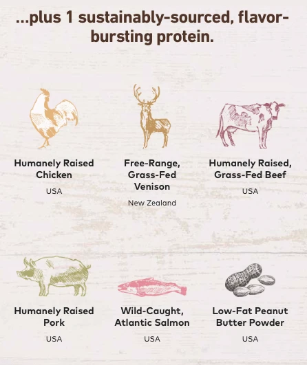 EARTH ANIMAL No-Hide Wholesome Dog Chew In Peanut Butter 11 EARTH ANIMAL No-Hide Wholesome Dog Chew In Peanut Butter - Image 11