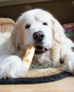 EARTH ANIMAL No-Hide Wholesome Dog Chew In Peanut Butter 20 EARTH ANIMAL No-Hide Wholesome Dog Chew In Peanut Butter -Pet Sale Shop EAMEDIUM