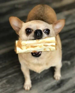 EARTH ANIMAL No-Hide Wholesome Dog Chew In Peanut Butter 18 EARTH ANIMAL No-Hide Wholesome Dog Chew In Peanut Butter -Pet Sale Shop EASMALL2