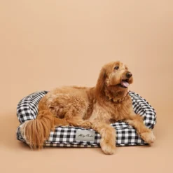 HARRY BARKER Ortho-Lounger Dog Bed (Direct-Ship) 13 HARRY BARKER Ortho-Lounger Dog Bed (Direct-Ship) -Pet Sale Shop HB SS 2021 STUDIO3531 2048x a8ce2a7b dd04 4862 927b 39420bb312dd