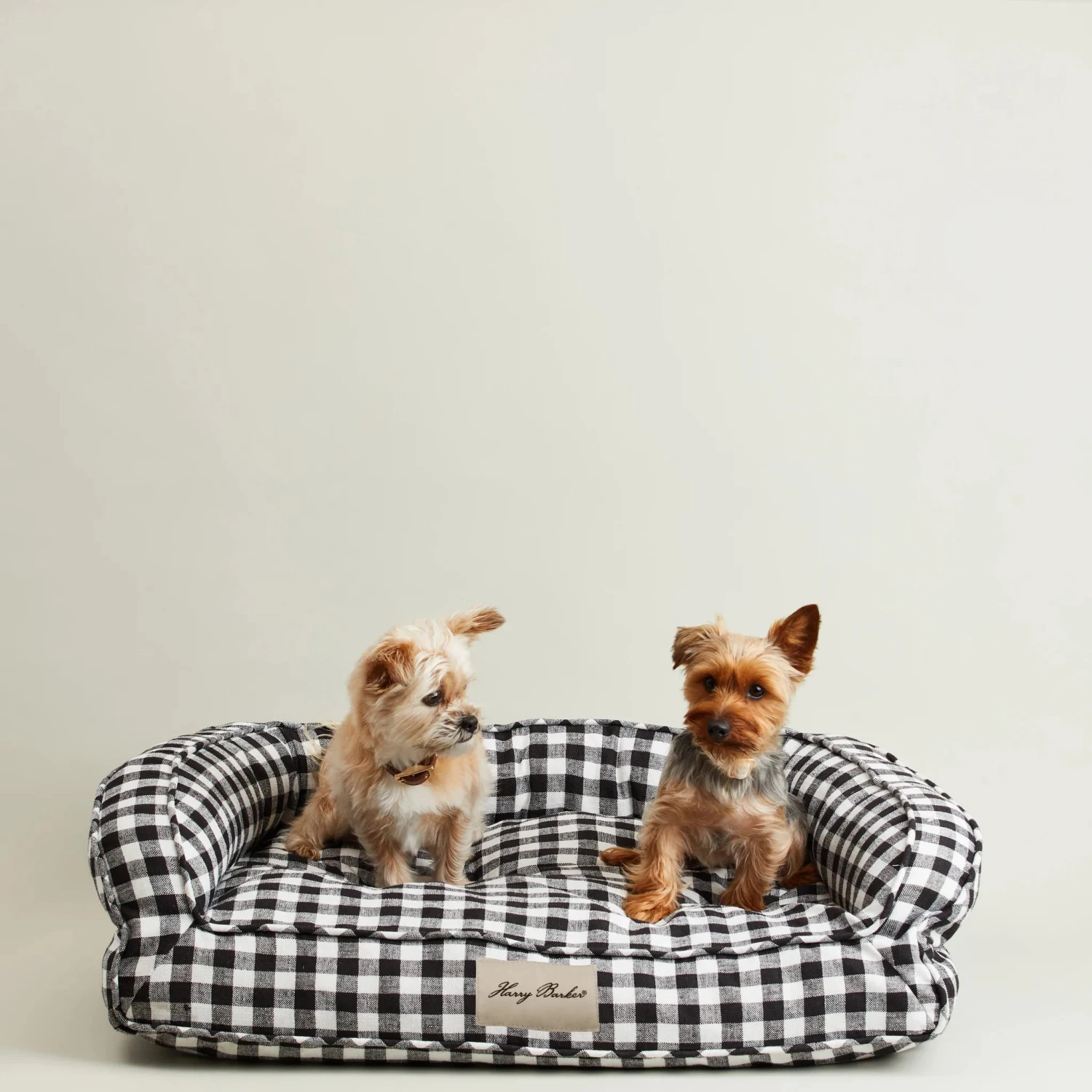 HARRY BARKER Ortho-Lounger Dog Bed (Direct-Ship) 2 HARRY BARKER Ortho-Lounger Dog Bed (Direct-Ship) - Image 2