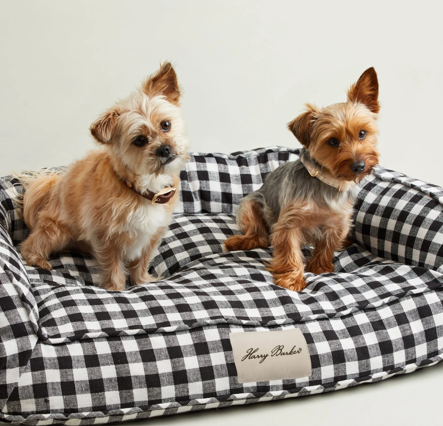 HARRY BARKER Ortho-Lounger Dog Bed (Direct-Ship) 5 HARRY BARKER Ortho-Lounger Dog Bed (Direct-Ship) - Image 5