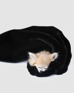 Pet Sale Shop -Pet Sale Shop HELLODOGGIE DivineDogBlanket