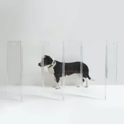 HIDDIN Clear Lucite Freestanding Zig-Zag Pet Gate (Made In The USA) (Direct-Ship) -Pet Sale Shop Hiddin5 403e869b 6438 45f5 a324 263e391376a0