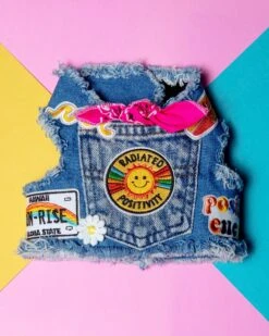 HEADS OR TAILS PUP Sunshine Positivity Denim Dog Harness -Pet Sale Shop IMG 0884