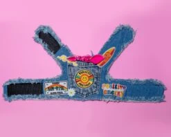 HEADS OR TAILS PUP Sunshine Positivity Denim Dog Harness -Pet Sale Shop IMG 3410
