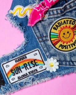 HEADS OR TAILS PUP Sunshine Positivity Denim Dog Harness -Pet Sale Shop IMG 7354