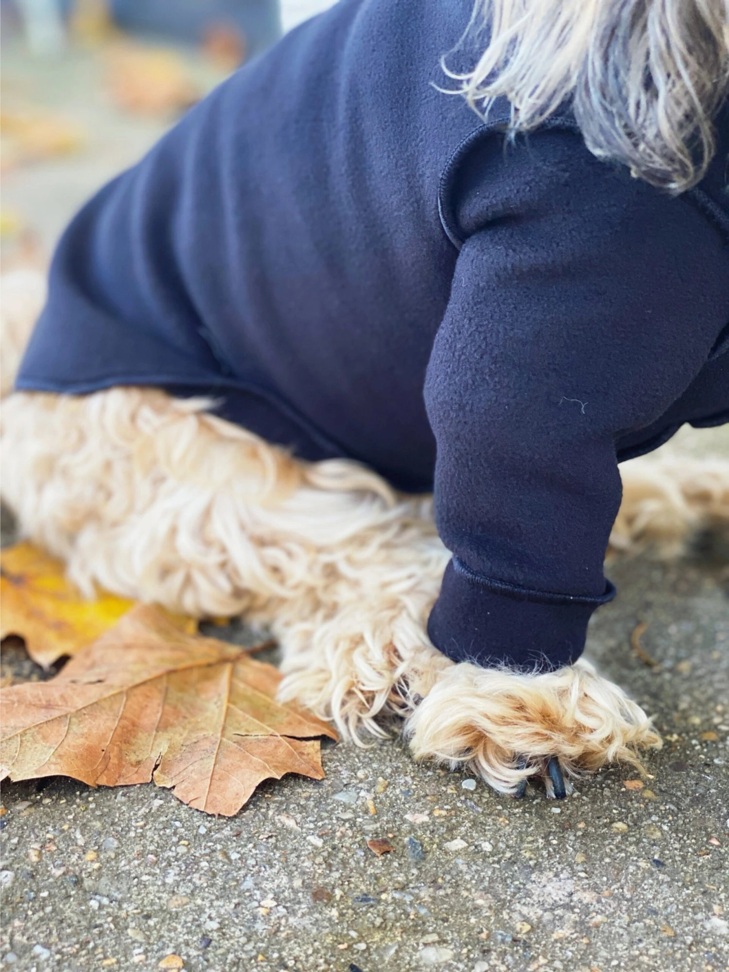 DOG & CO. COLLECTION Long-Sleeve Pullover Stretch Dog Fleece In Black (Made In The USA, Dog & Co. Exclusive!) 6 DOG & CO. COLLECTION Long-Sleeve Pullover Stretch Dog Fleece In Black (Made In The USA, Dog & Co. Exclusive!) - Image 6