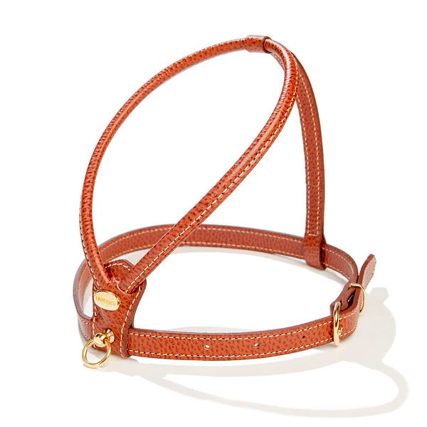 LA CINOPELCA Italian Leather Dog Leash In Luggage Brown 5 LA CINOPELCA Italian Leather Dog Leash In Luggage Brown - Image 5