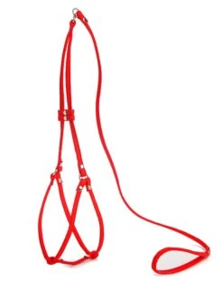 DOG & CO. Nylon Step-In Adjustable Dog Harness In Red (Made In The USA) -Pet Sale Shop MG 9200