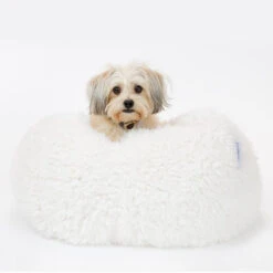 MODERN BEAST Pod Bed In Ivory (Custom/Direct-Ship) (Made In The USA) 6 MODERN BEAST Pod Bed In Ivory (Custom/Direct-Ship) (Made In The USA) -Pet Sale Shop MODERN BEAST MB POD 2