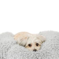 MODERN BEAST Pod Bed In Grey (Custom/Direct-Ship) <br> (Made In The USA) 5 MODERN BEAST Pod Bed In Grey (Custom/Direct-Ship) <br> (Made In The USA) -Pet Sale Shop MODERN BEAST MB POD BED GREY 3