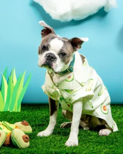 DOGO Avocado Button Dog Shirt For Dogs