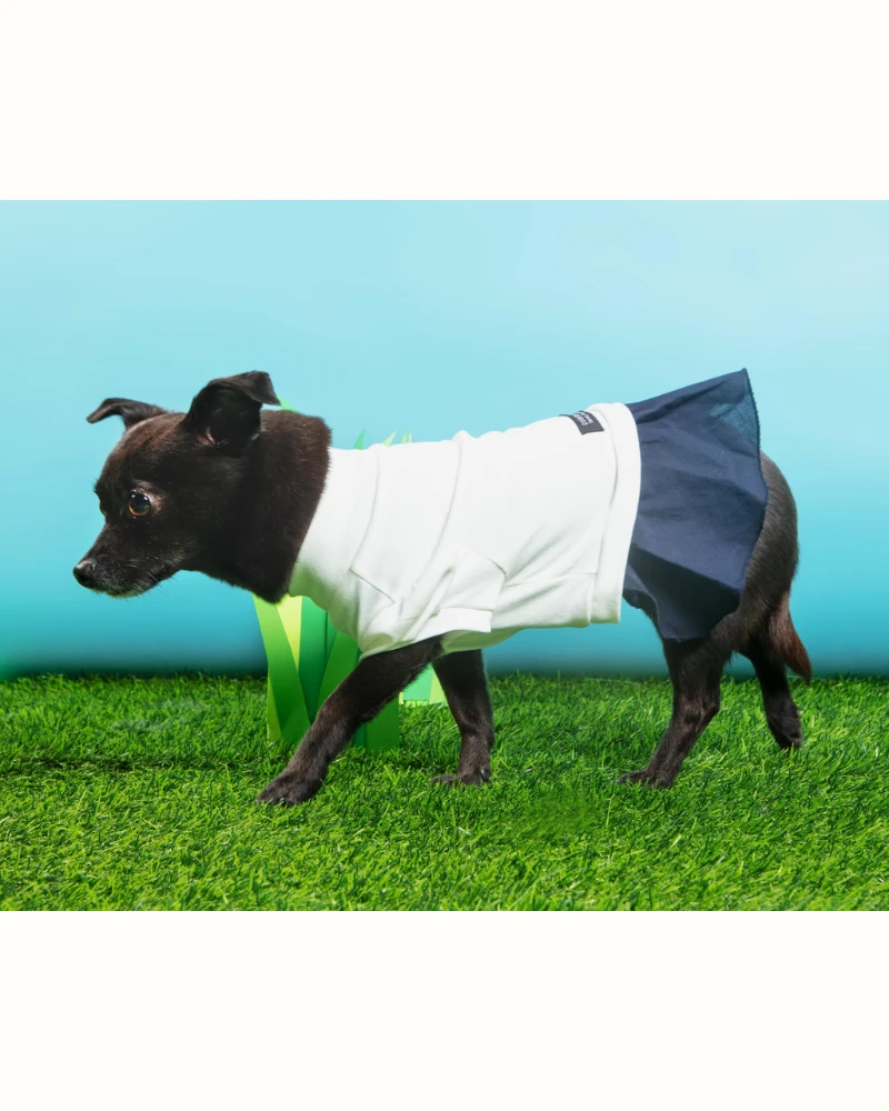 COLETTE ET GASTON Soft Dog Dress In White & Navy 7 COLETTE ET GASTON Soft Dog Dress In White & Navy - Image 7