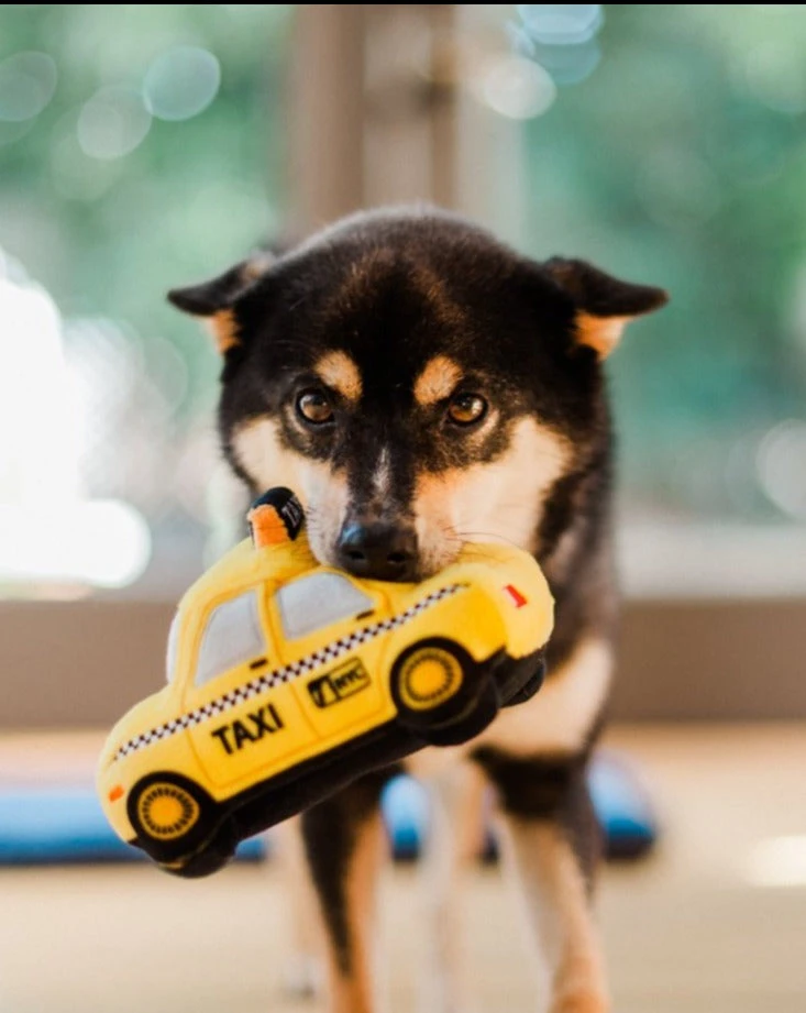 P.L.A.Y. Canine Commute Taxi Plush Crinkle + Squeaky Dog Toy 3 P.L.A.Y. Canine Commute Taxi Plush Crinkle + Squeaky Dog Toy - Image 3