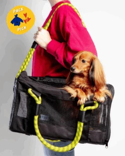 ROVERLUND Out-Of-Office Dog Carrier In Black With Neon Yellow Straps