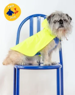 DOG & CO. COLLECTION Action Jacket Pull-On Raincoat In Safety Yellow + Blue (Made In NYC) -Pet Sale Shop PACKPICKS PRODUCTIMAGES af03d088 8171 4c6a a8f5 a139c91cf257
