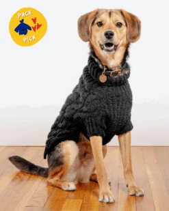 DOG & CO. COLLECTION Downtown Roll Neck Dog Sweater In Black (FINAL SALE)