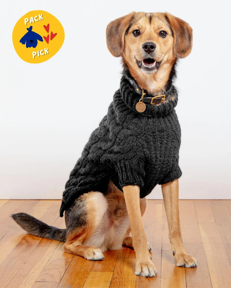 DOG & CO. COLLECTION Downtown Roll Neck Dog Sweater In Black (FINAL SALE) 1 DOG & CO. COLLECTION Downtown Roll Neck Dog Sweater In Black (FINAL SALE)