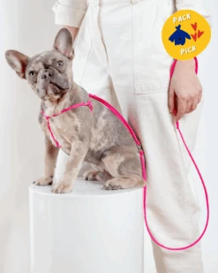 DOG & CO. Step-In Adjustable Dog Harness In Neon Pink (Made In The USA)