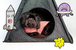 P.L.A.Y. Denim Pet Teepee (Direct-Ship) -Pet Sale Shop PET PLAY TeePee in Denim Dog Co
